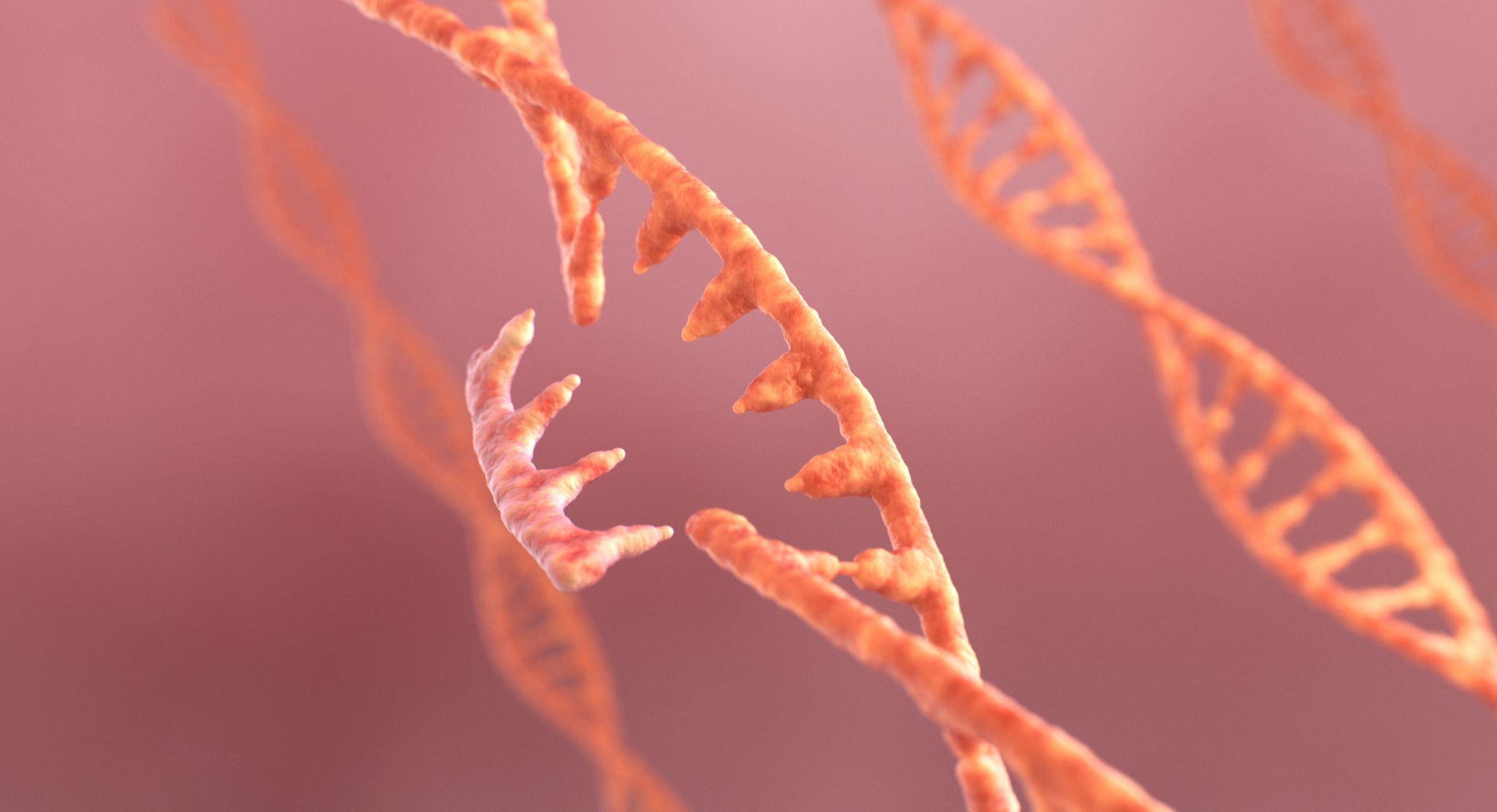 DNA-und-RNA-Editing-iStock-1398567874-scaled.jpg