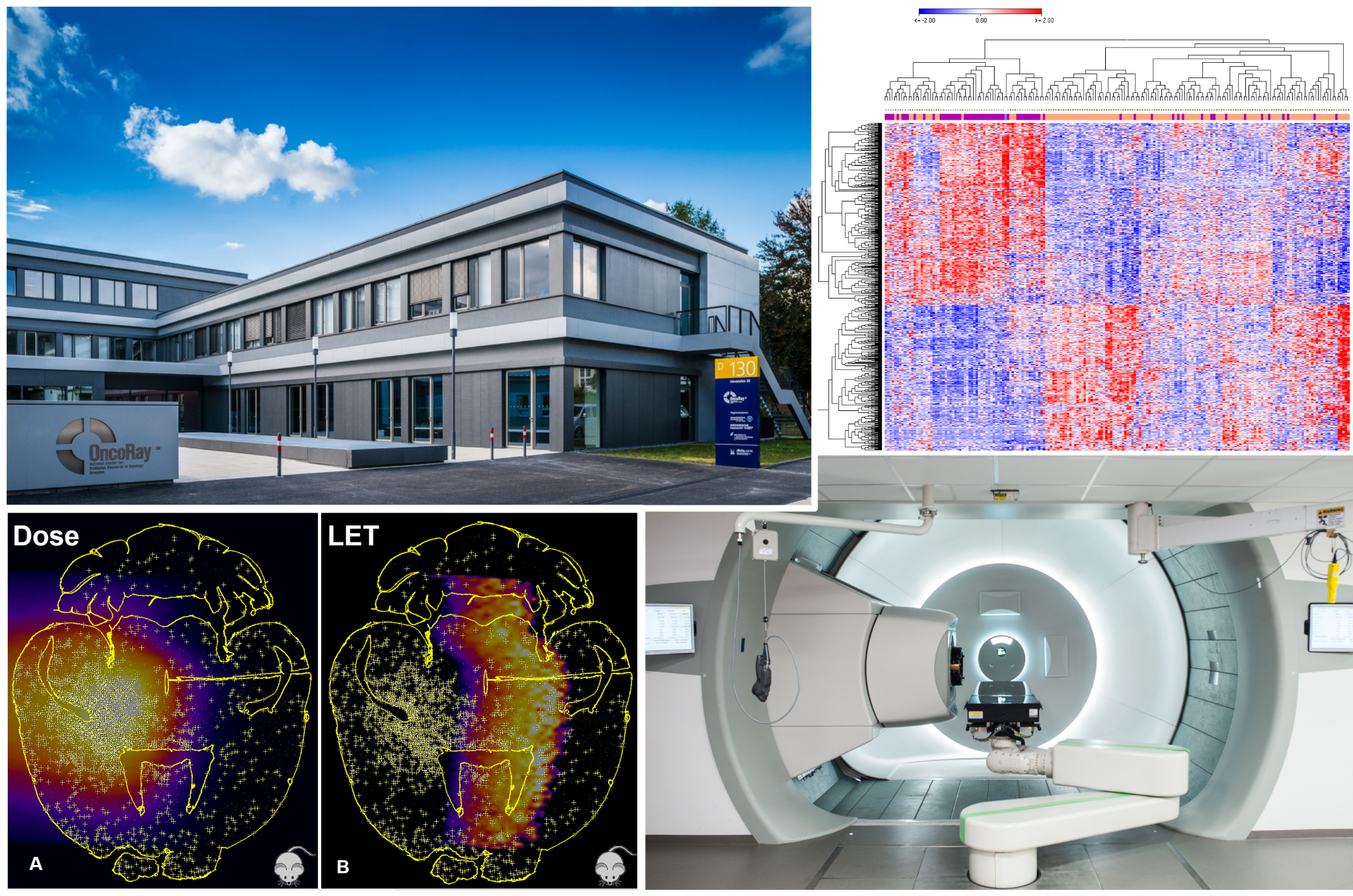 website_DKTK Standort.png