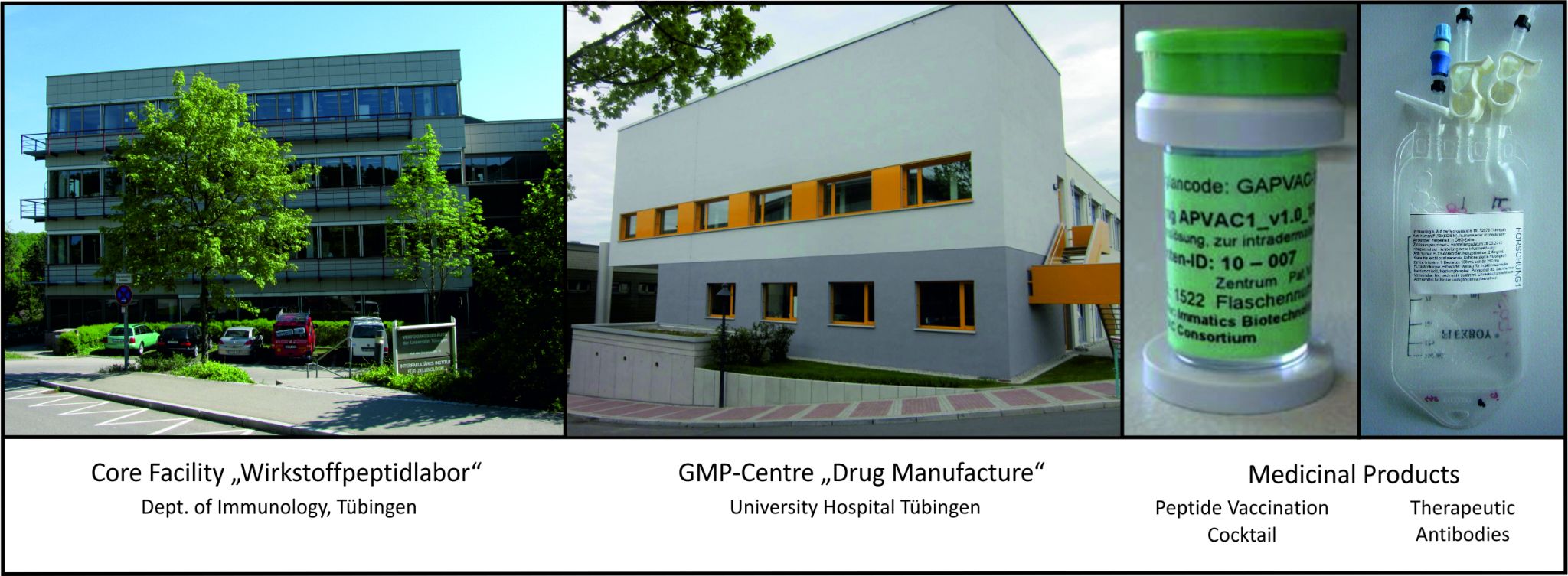 Mehrteilige Darstellung mit zwei Gebäuden in Tübingen – links eine Forschungseinrichtung (Core Facility „Wirkstoffpeptidlabor“) und in der Mitte ein GMP-Zentrum zur Arzneimittelherstellung – sowie rechts Laborprodukte wie beschriftete Probenbehälter und Infusionsbeutel für therapeutische Anwendungen.