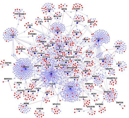 Exploitation of Oncogenic Mechanisms :: DKTK