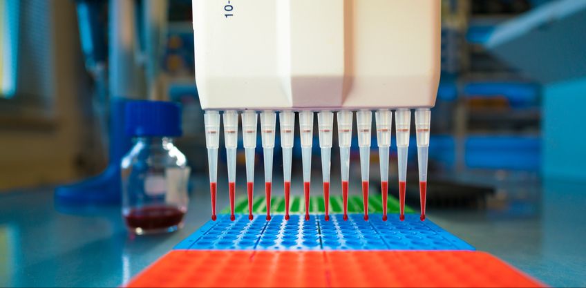 Mehrkanalpipette dosiert parallel kleine Flüssigkeitsmengen in eine Mikrotiterplatte mit vielen Vertiefungen; mehrere Pipettenspitzen enthalten gleichartige Proben. Im Hintergrund stehen Laborutensilien, darunter eine Flasche mit farbiger Lösung, und die Szene zeigt ein standardisiertes Vorgehen zur Probenverteilung in der molekularbiologischen Analyse.