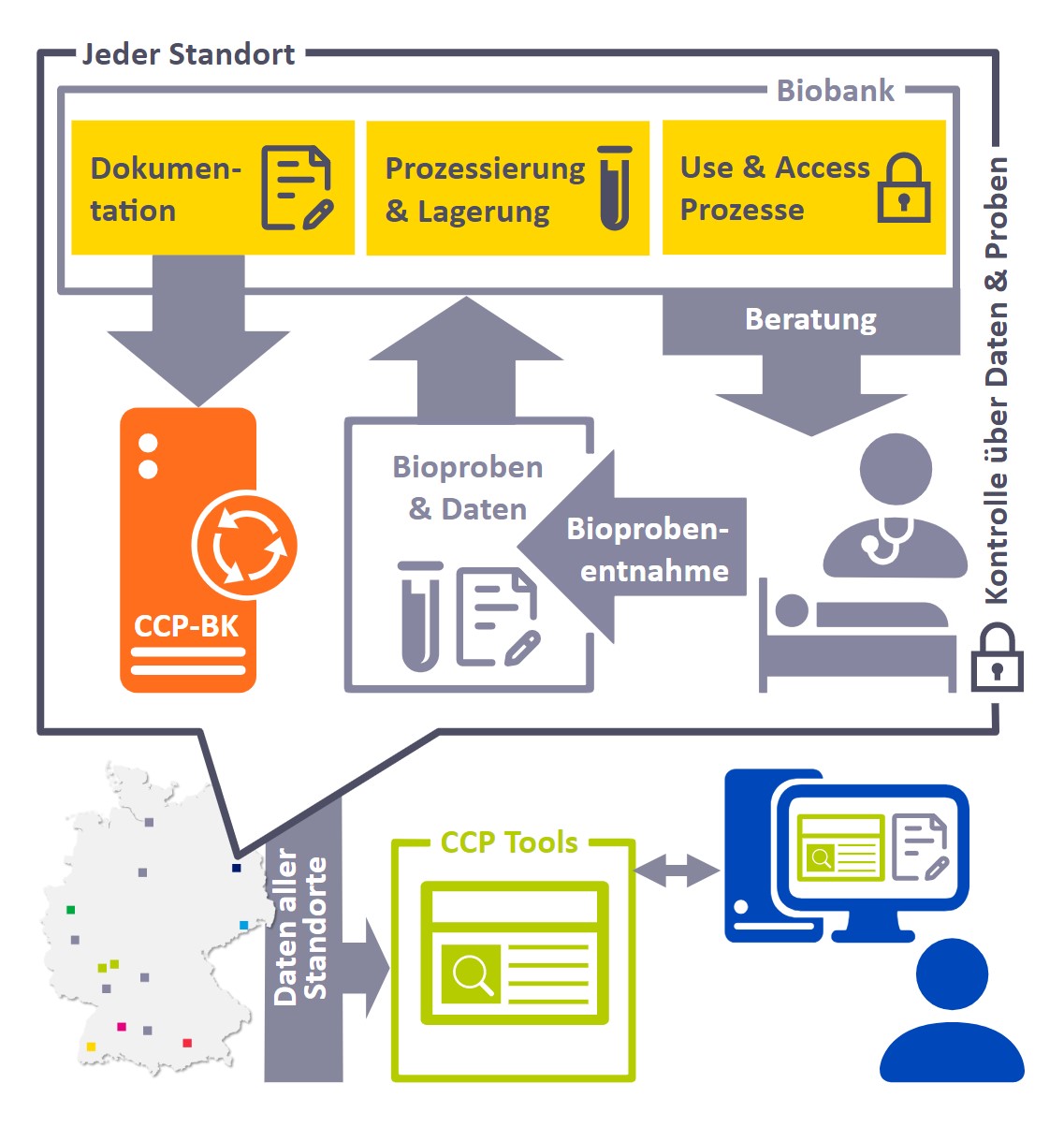 Vernetztes Biobanking.jpg